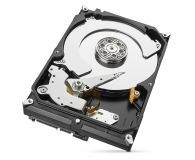 Seagate IronWolf 4TB 3,5'' ST4000VN008 - 1388210 - zdjęcie 1